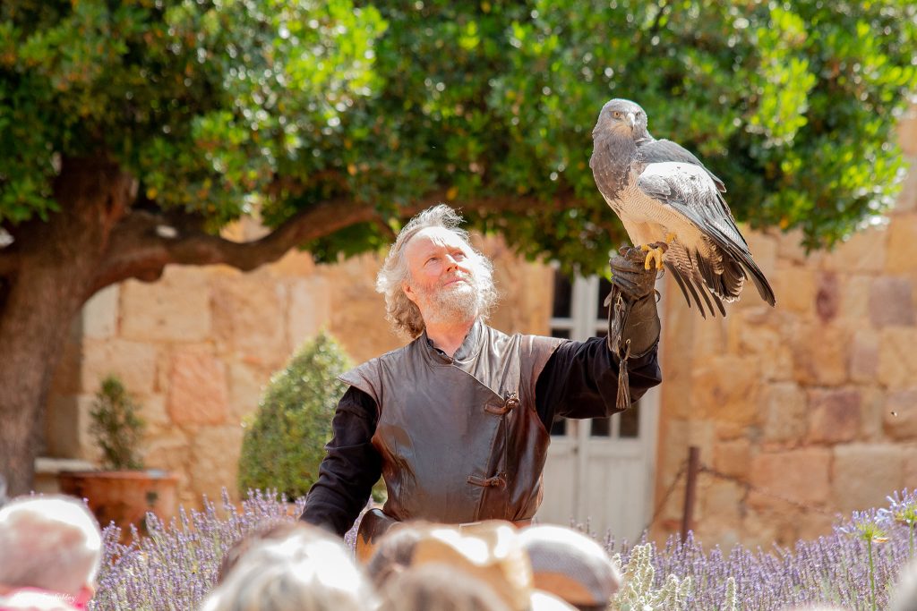 ailes d'urga festisal salera rapaces