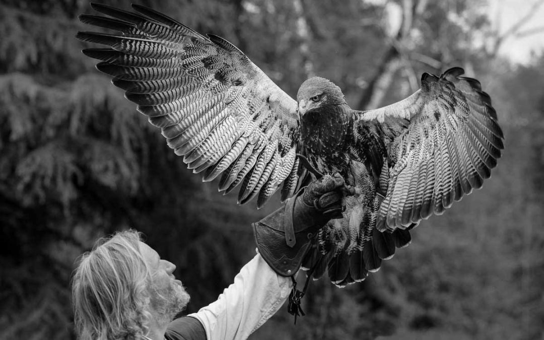 Prenez de la hauteur avec le spectacle des « Ailes d’Urga » !